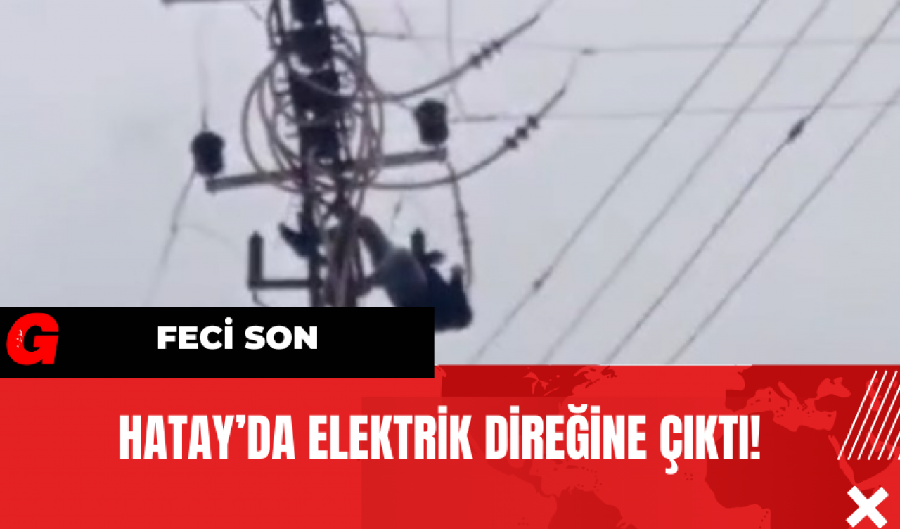 Hatay’da Elektrik Direğine Çıktı! Feci Son