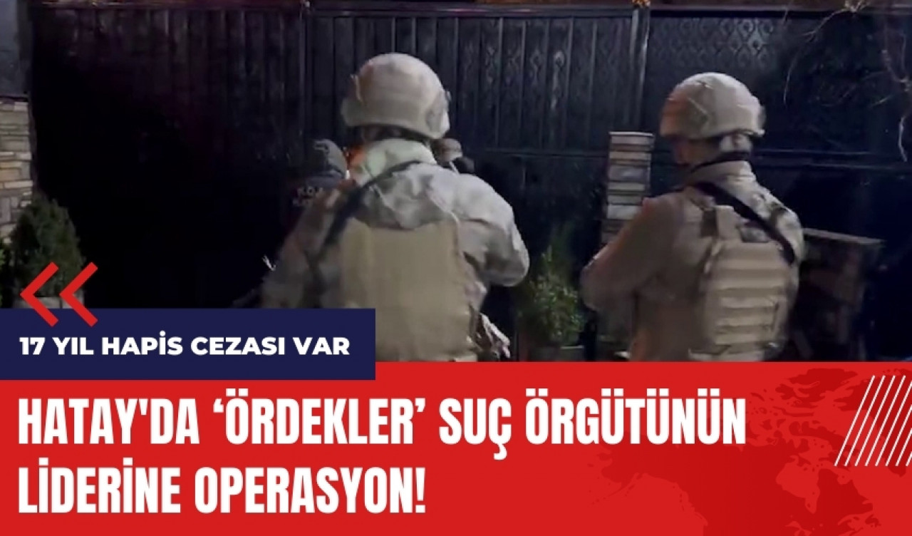 Hatay'da Ördekler suç örgütünün liderine operasyon!