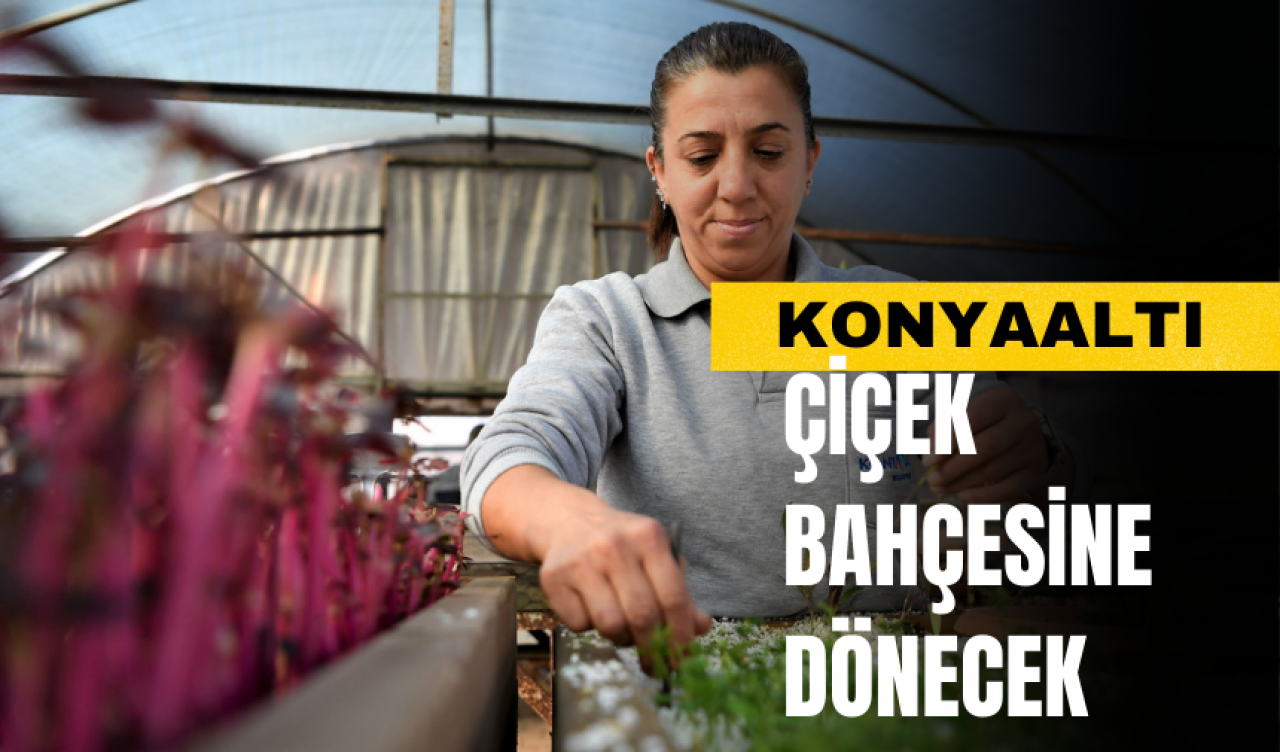 Konyaaltı Çiçek Bahçesine Dönecek