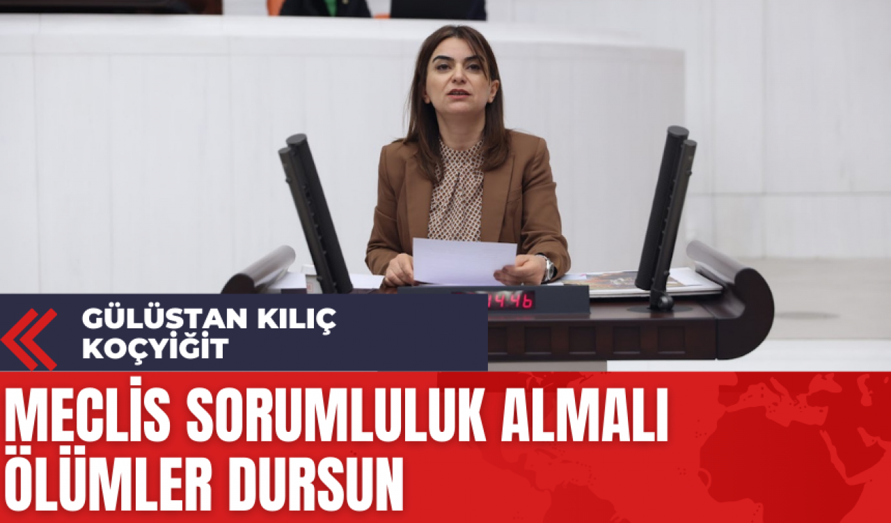 Gülüstan Kılıç Koçyiğit: Meclis Sorumluluk Almalı Ölümler Dursun