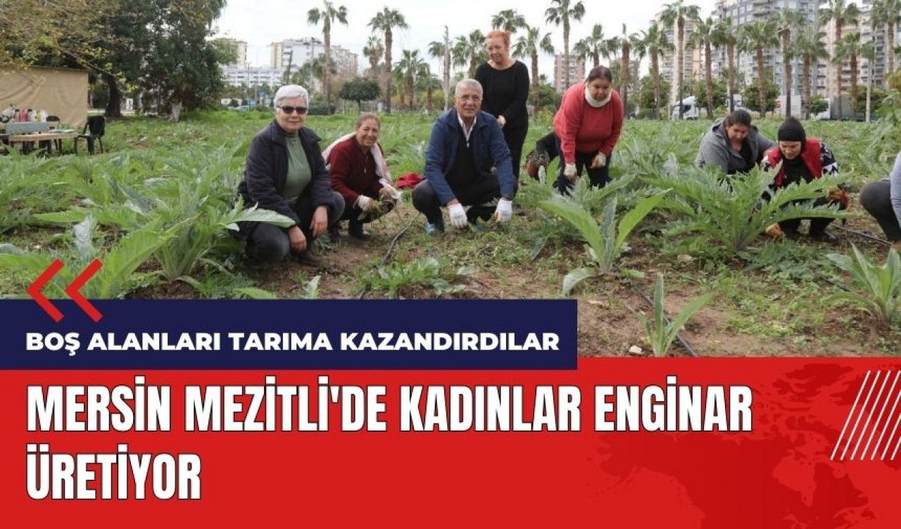 Mersin Mezitli'de kadınlar enginar üretiyor