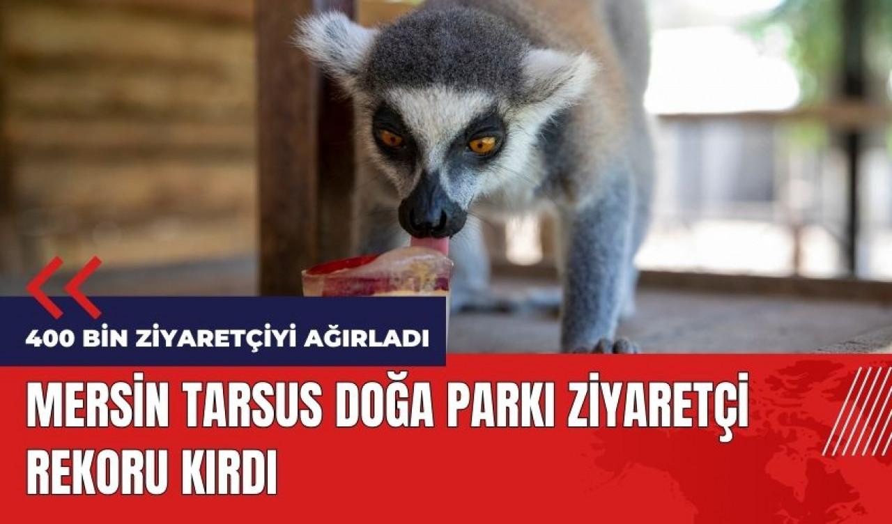 Mersin Tarsus Doğa Parkı ziyaretçi rekoru kırdı