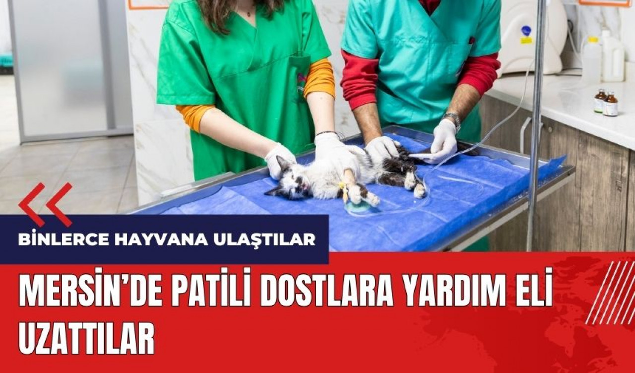 Mersin'de patili dostlara yardım eli uzattılar