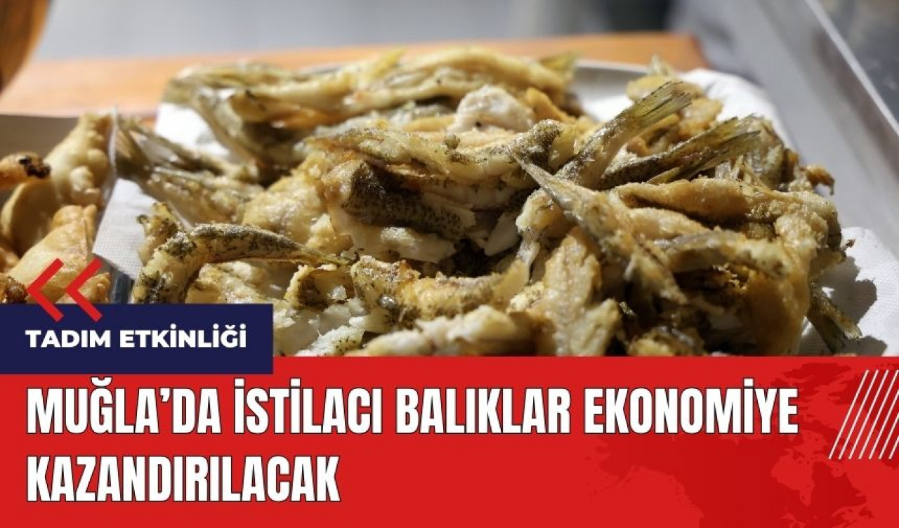 Muğla'da istilacı balıklar ekonomiye kazandırılacak