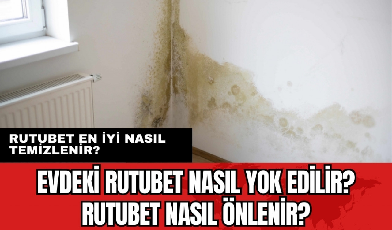 Evdeki rutubet nasıl yok edilir? Rutubet nasıl önlenir? Rutubet en iyi nasıl temizlenir?