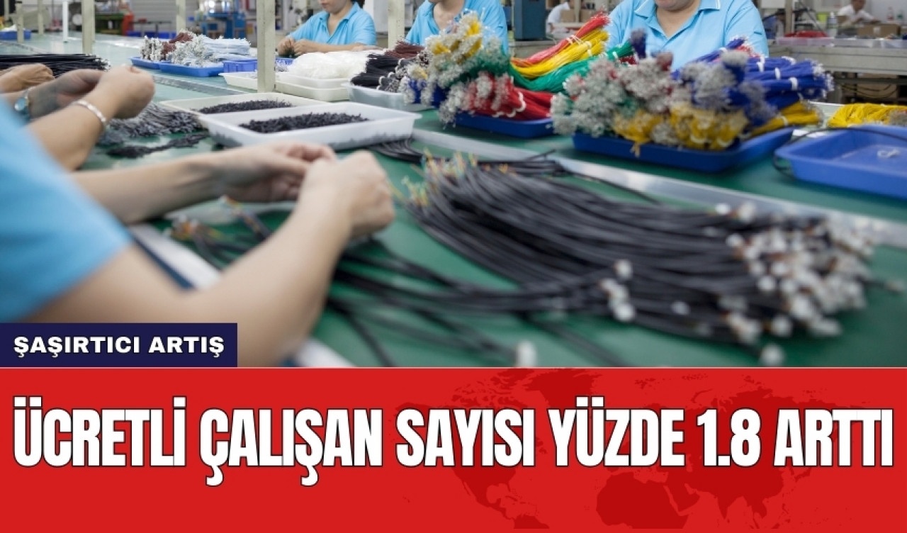 Ücretli çalışan sayısı yüzde 1.8 arttı