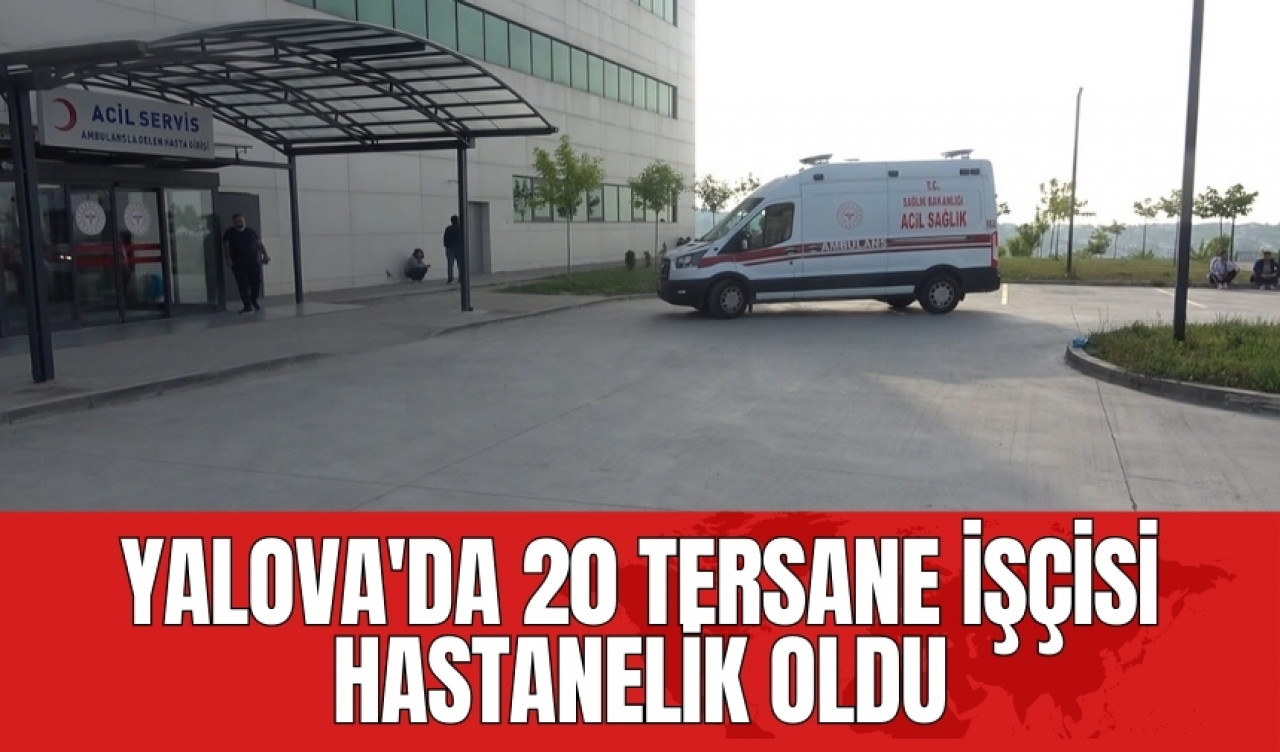 Yalova'da 20 tersane işçisi hastanelik oldu