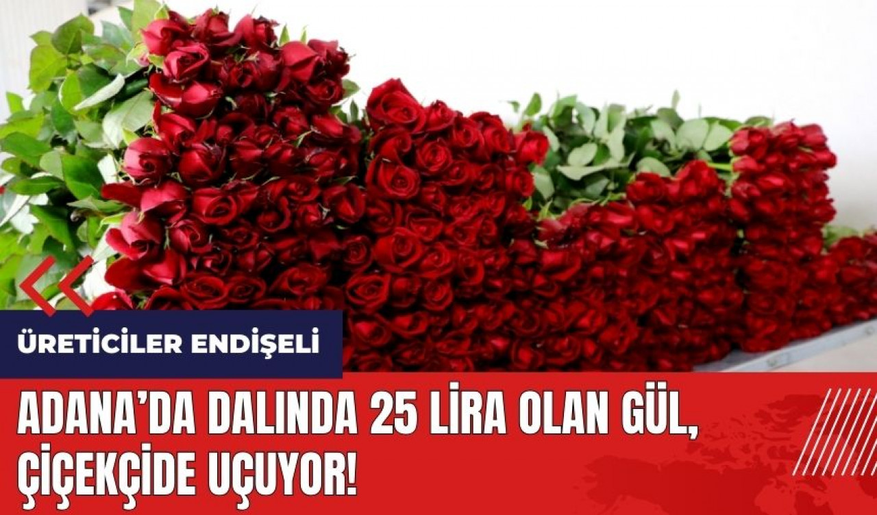 Adana'da dalında 25 lira olan gül çiçekçide uçuyor