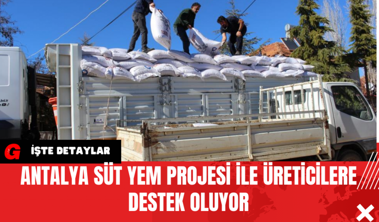 Antalya Süt Yem Projesi ile Üreticilere Destek Oluyor