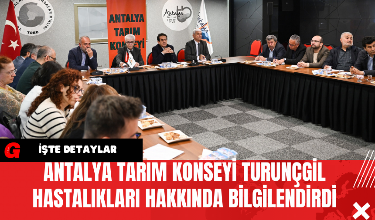 Antalya Tarım Konseyi Turunçgil Hastalıkları Hakkında Bilgilendirdi