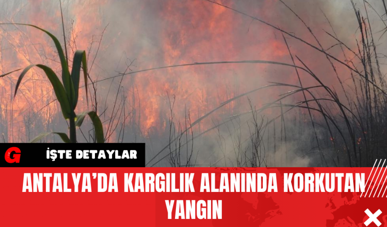 Antalya’da Kargılık Alanında Korkutan Yangın