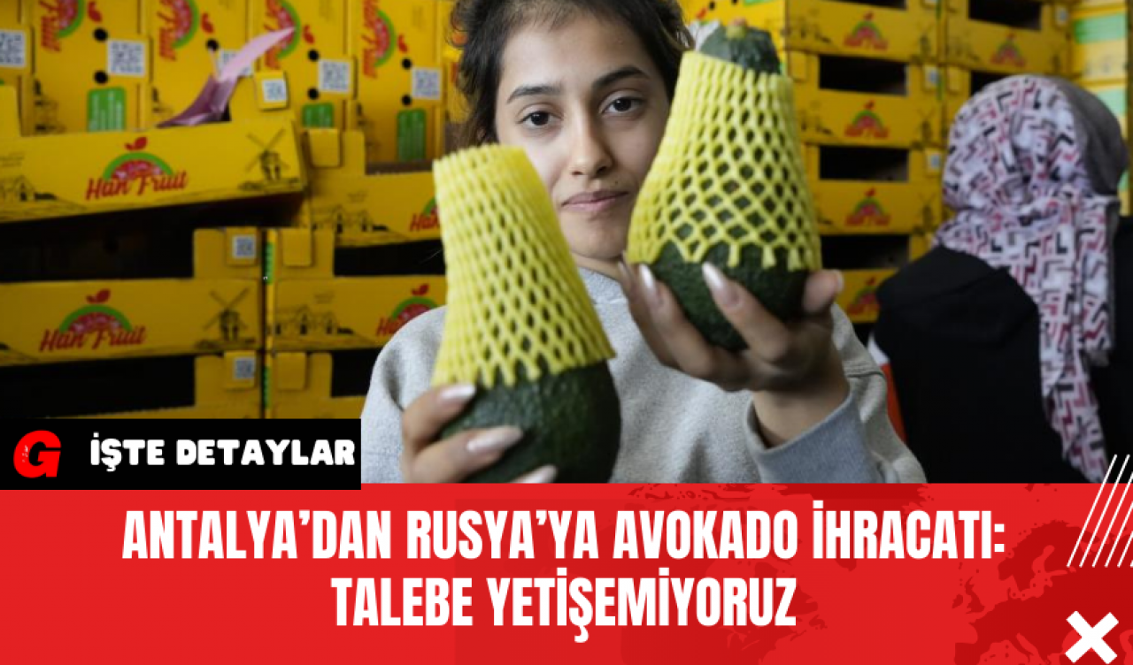 Antalya’dan Rusya’ya Avokado İhracatı: Talebe Yetişemiyoruz