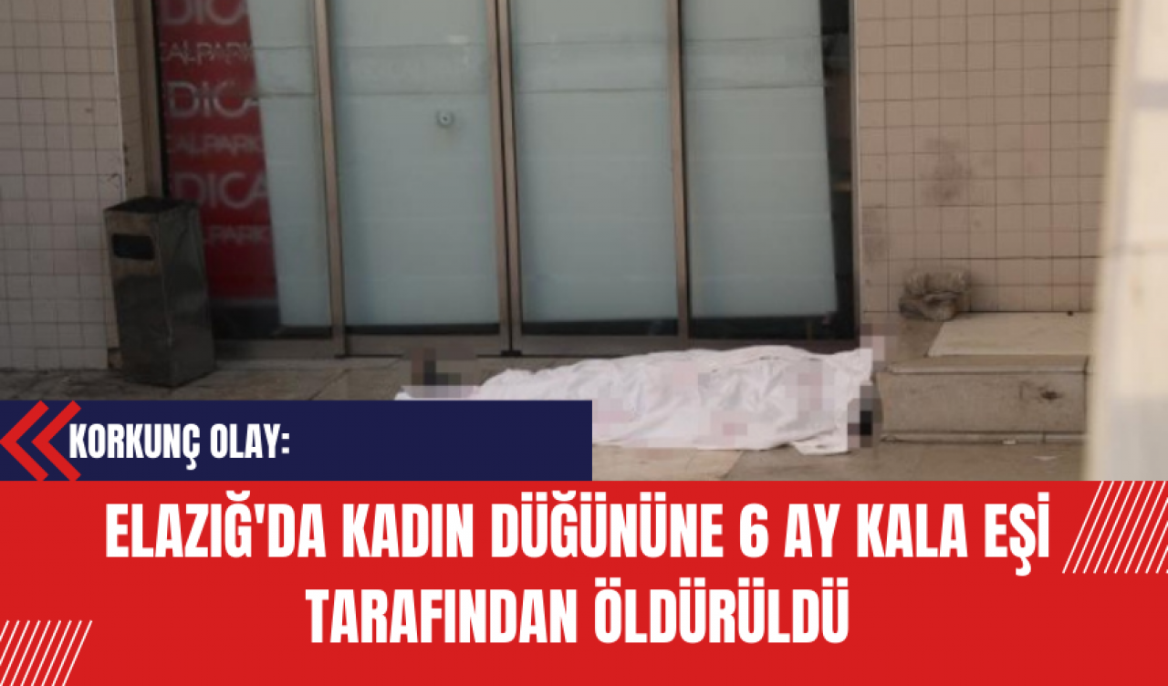 Korkunç Olay: Elazığ'da Kadın Düğününe 6 Ay Kala Eşi Tarafından Öldürüldü