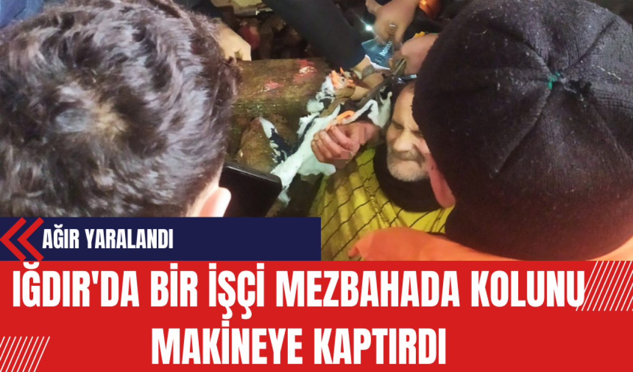 Iğdır'da Bir İşçi Mezbahada Kolunu Makineye Kaptırdı