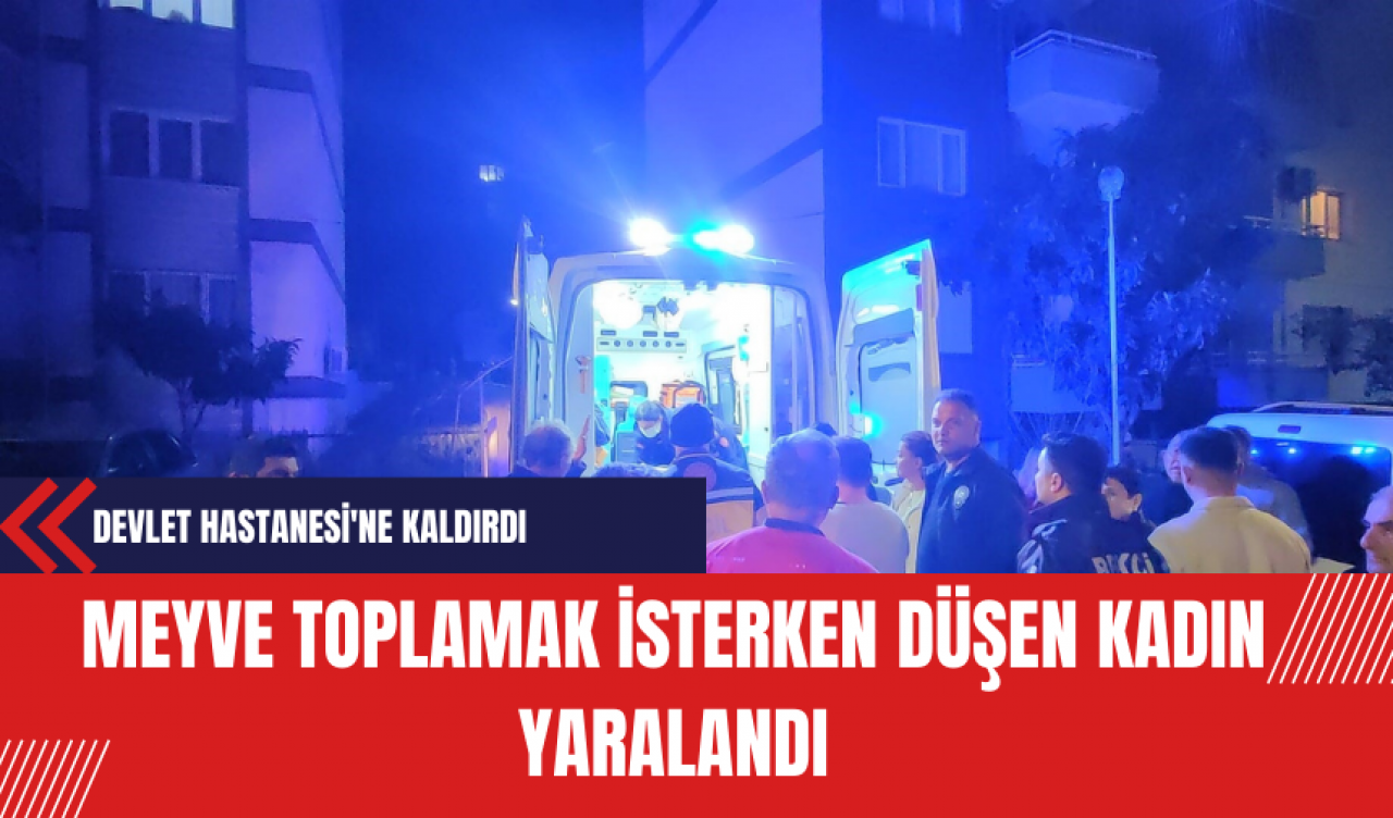 Kuşadası'nda Meyve Toplamak İsterken Düşen Kadın Yaralandı