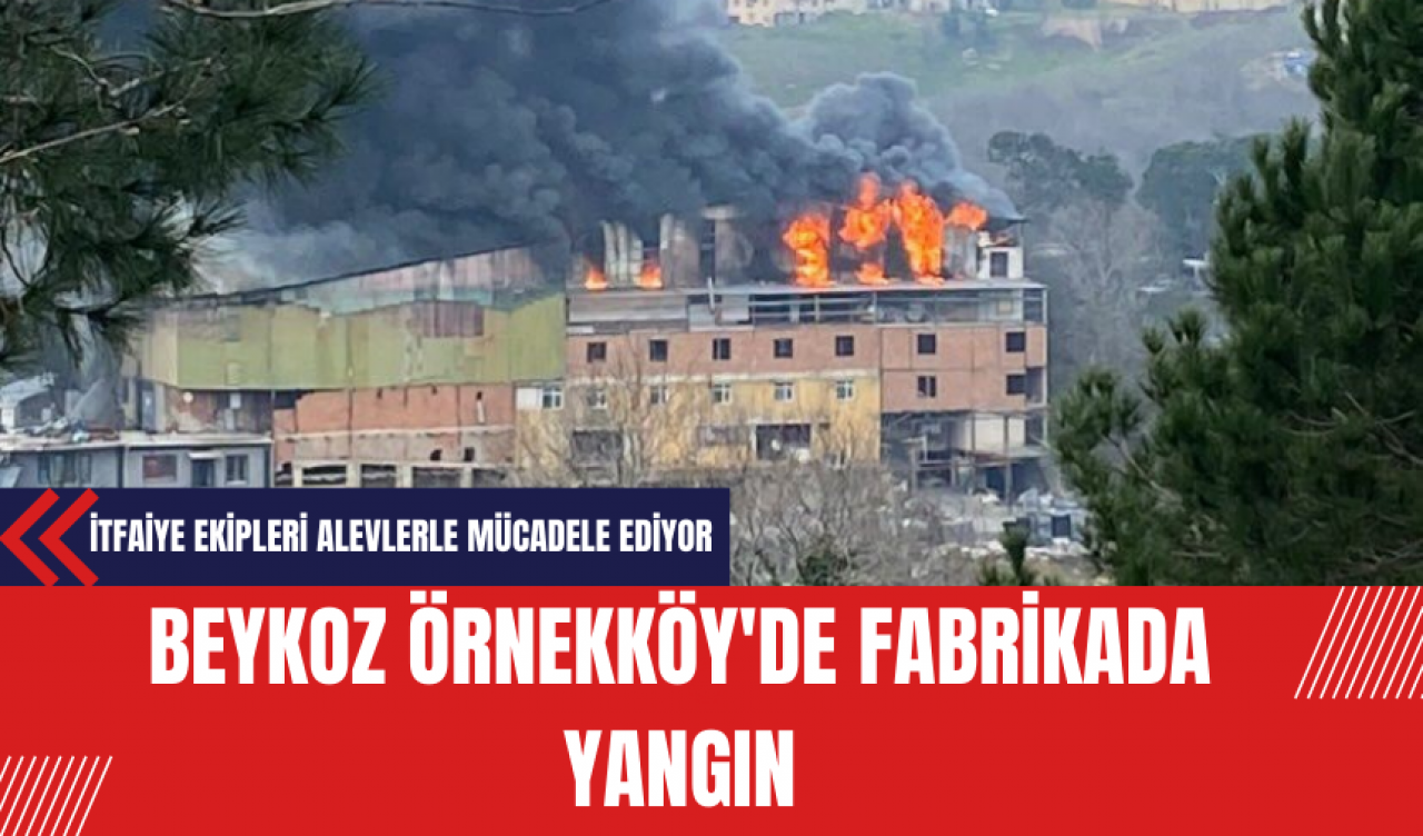 Beykoz Örnekköy'de Fabrikada Yangın: İtfaiye Ekipleri Alevlerle Mücadele Ediyor