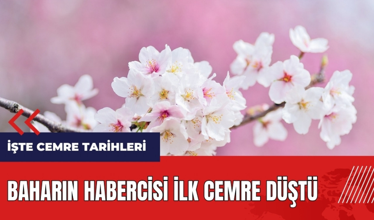 Baharın habercisi ilk cemre düştü! Cemre nedir? İşte cemre tarihleri