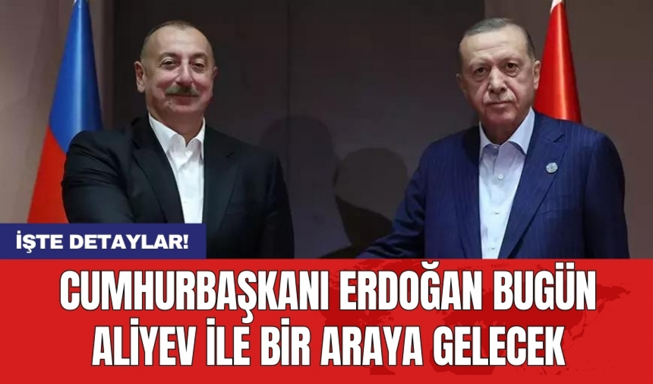 Cumhurbaşkanı Erdoğan bugün Aliyev ile bir araya gelecek