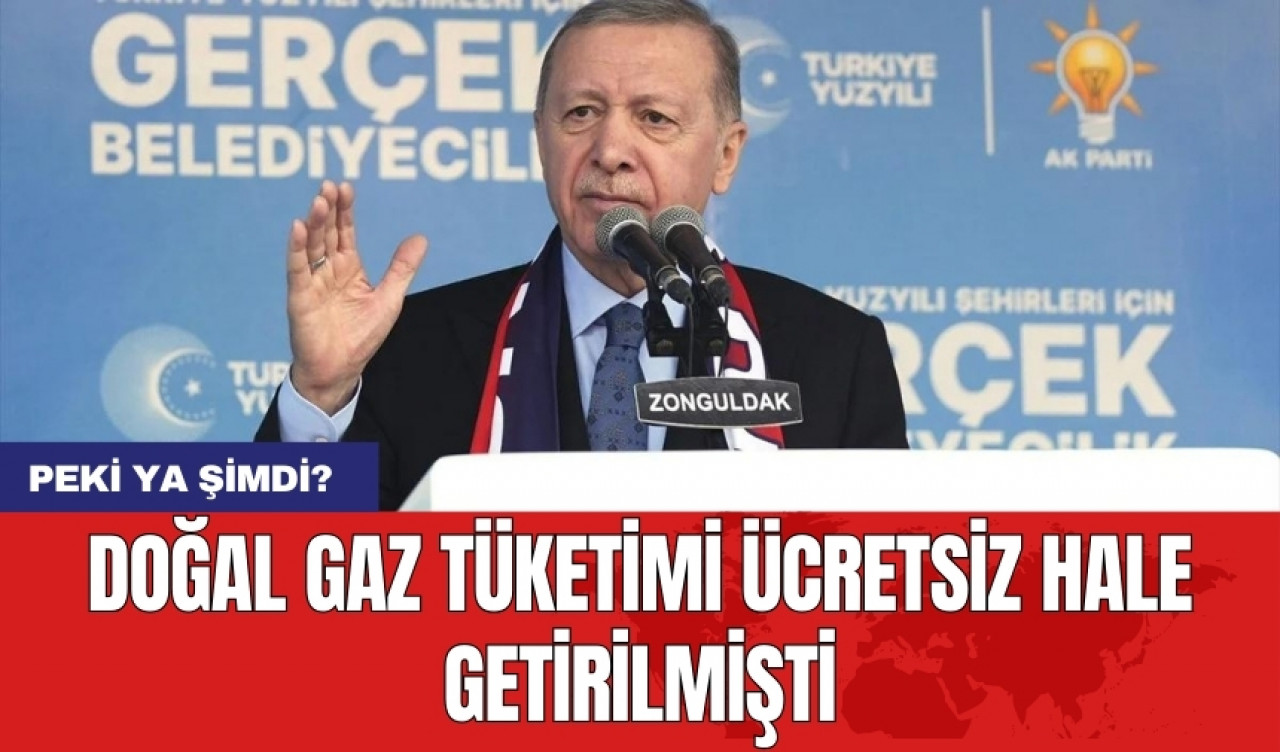 Doğal gaz tüketimi ücretsiz hale getirilmişti: Peki ya şimdi?