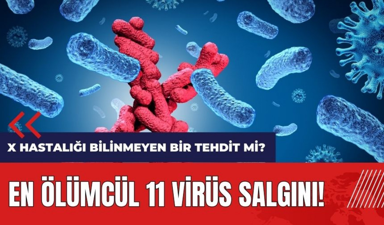 En ölümcül 11 virüs salgını! X Hastalığı bilinmeyen bir tehdit mi?