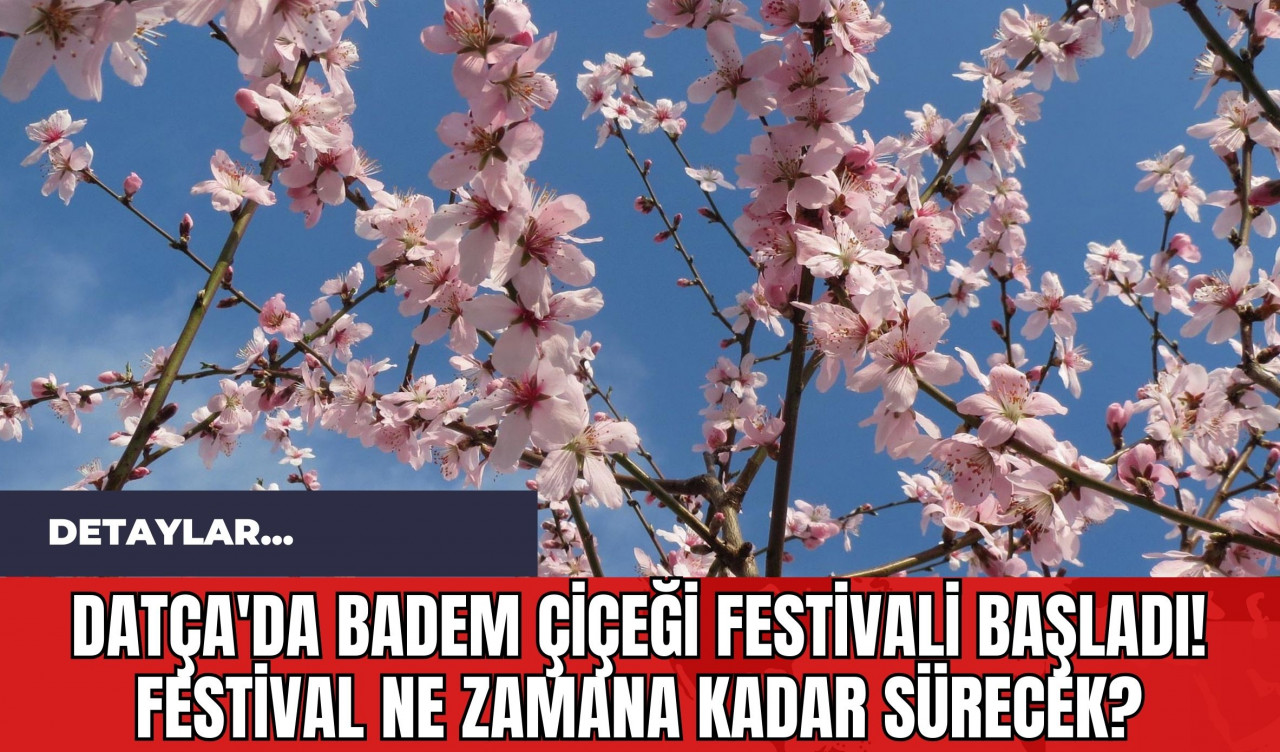 Datça'da Badem Çiçeği Festivali Başladı! Festival Ne Zamana Kadar Sürecek?