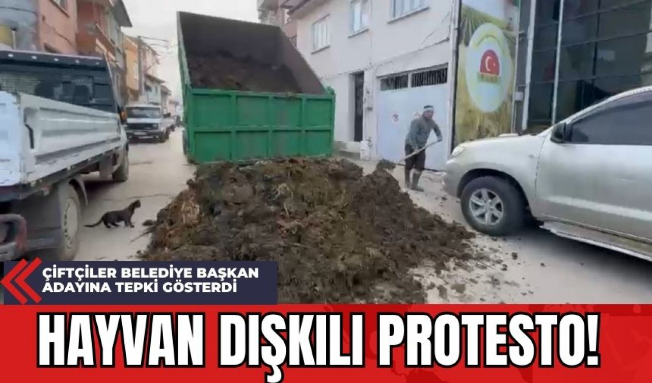 Çiftçiler Belediye Başkan Adayına Tepki Gösterdi: Hayvan Dışkılı Protesto!