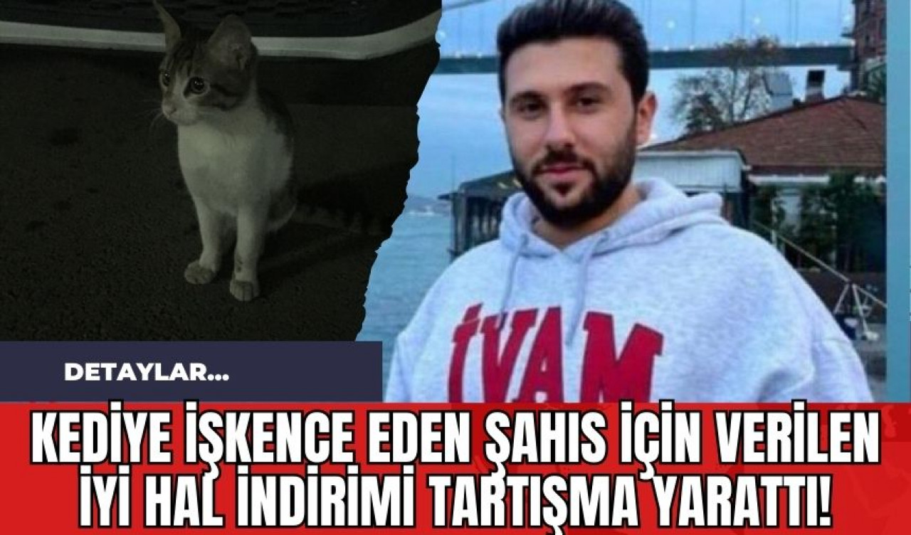 Kediye İşkence Eden Şahıs İçin Verilen İyi Hal İndirimi Tartışma Yarattı!