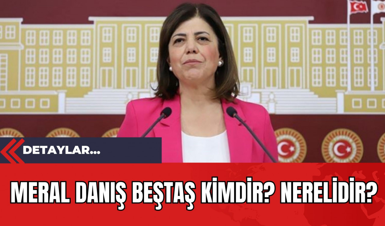 Meral Danış Beştaş Kimdir? Nerelidir?