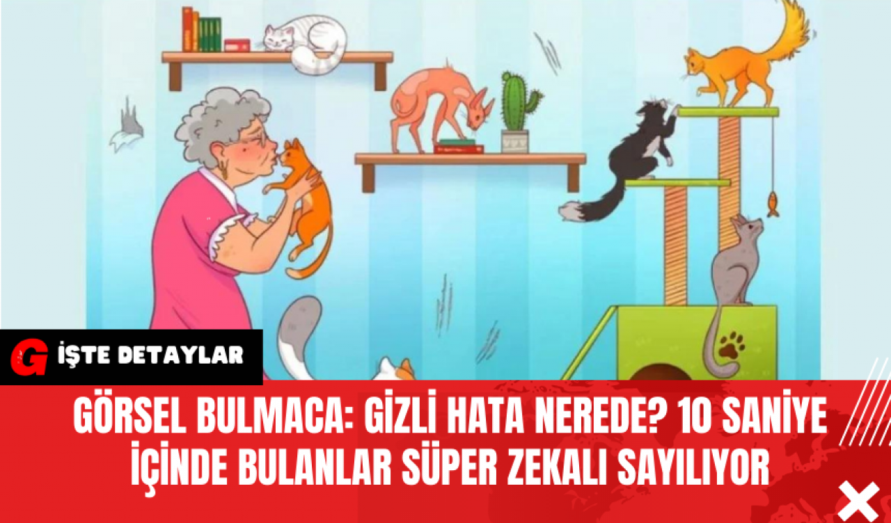 Görsel Bulmaca: Gizli Hata Nerede? 10 Saniye İçinde Bulanlar Süper Zekalı Sayılıyor