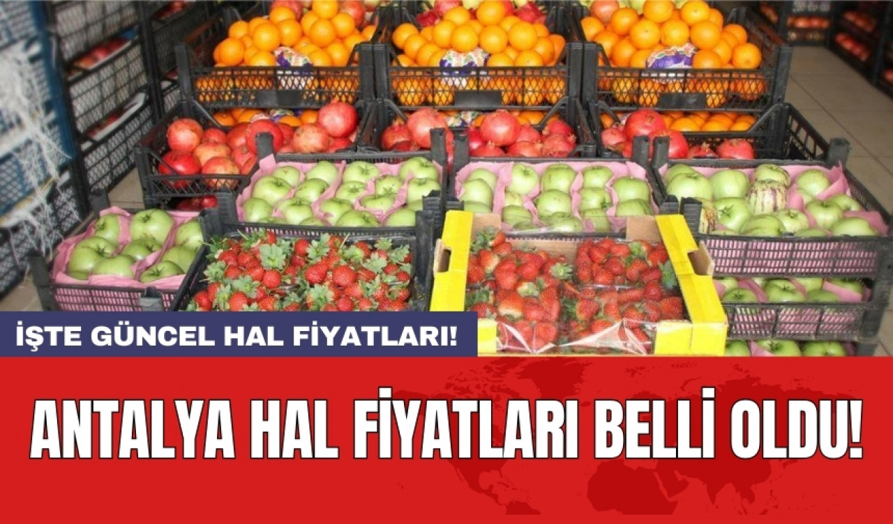 Antalya hal fiyatları belli oldu! İşte hal fiyatları 13 Haziran 2024 Perşembe