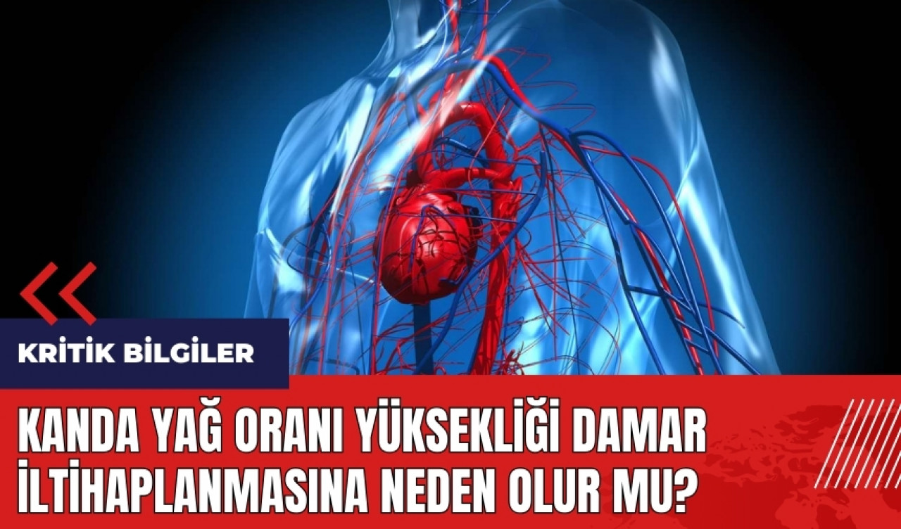 Kanda yağ oranı yüksekliği damar iltihaplanmasına neden olur mu?