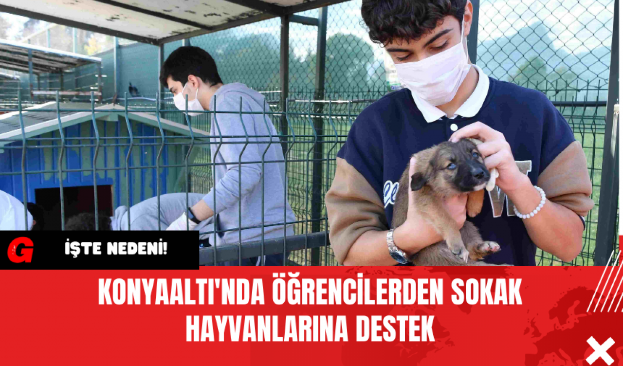 Konyaaltı'nda Öğrencilerden Sokak Hayvanlarına Destek