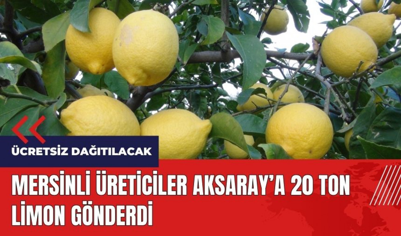 Mersinli üreticiler Aksaray’a 20 ton ücretsiz limon gönderdi