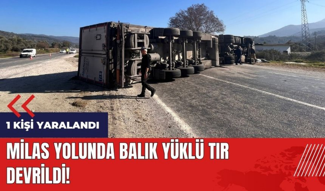 Milas yolunda balık yüklü tır devrildi!