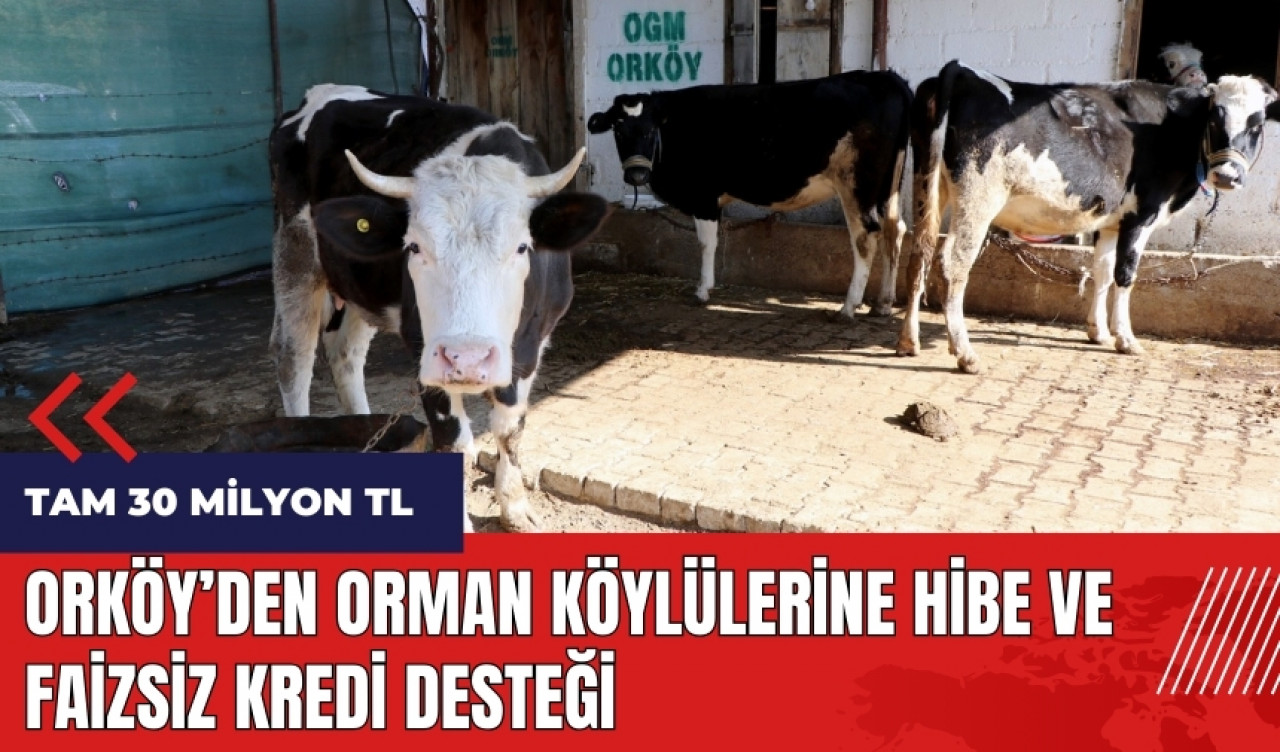 ORKÖY'den orman köylülerine hibe ve faizsiz kredi desteği