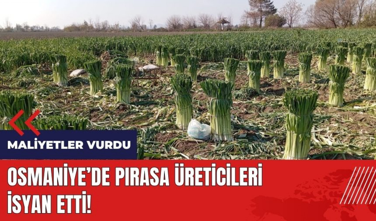 Osmaniye'de pırasa üreticileri isyan etti!