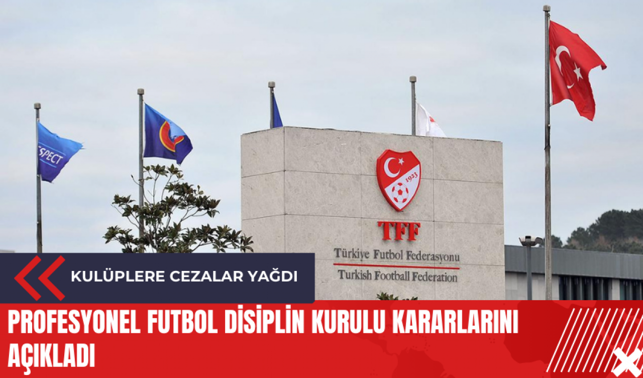 Profesyonel Futbol Disiplin Kurulu kararlarını açıkladı