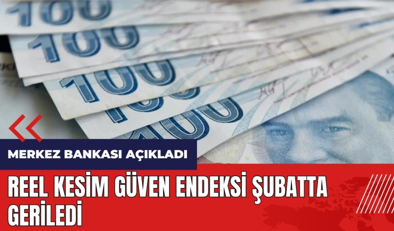 Reel Kesim Güven Endeksi şubatta geriledi