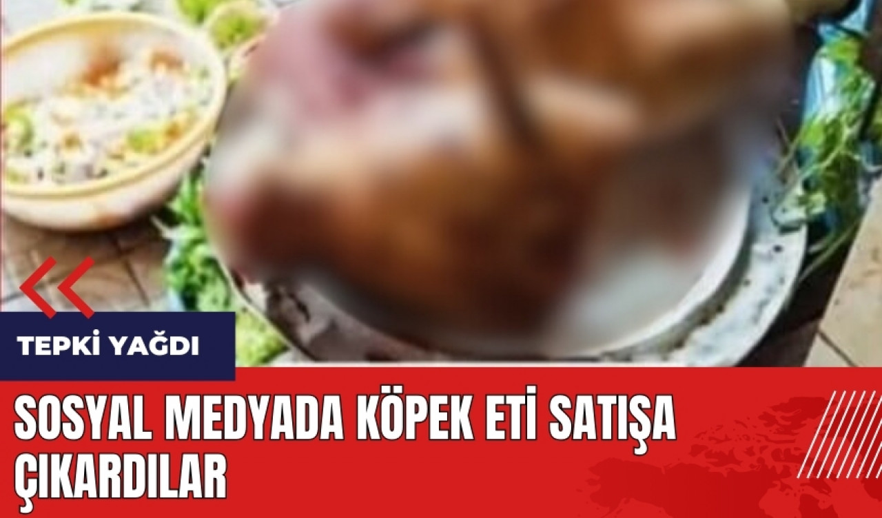 Sosyal medyada köpek eti satışa çıkardılar