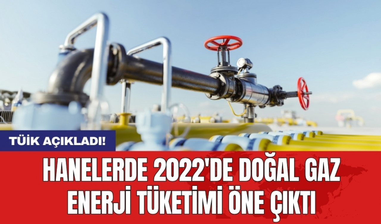 TÜİK açıkladı! Hanelerde 2022'de doğal gaz enerji tüketimi öne çıktı