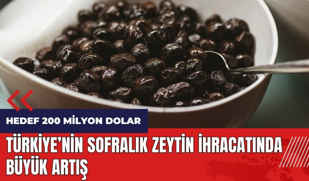 Türkiye'nin sofralık zeytin ihracatında büyük artış