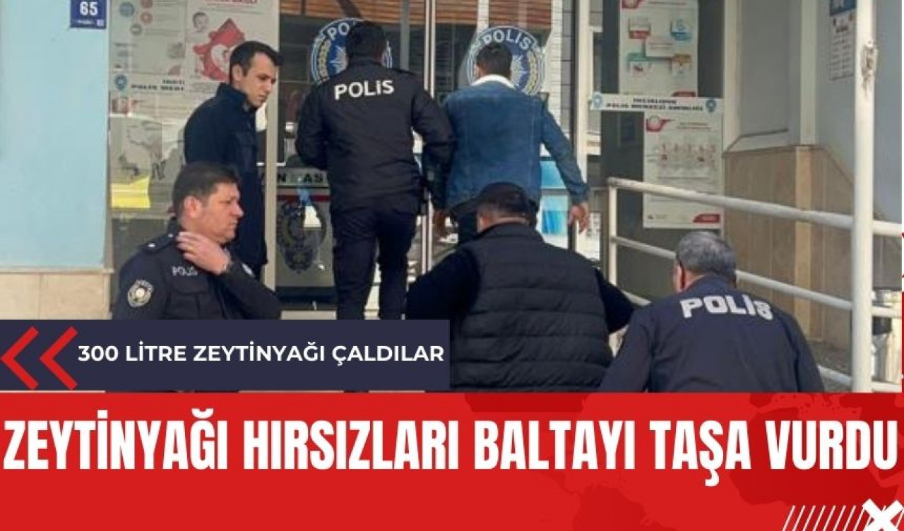 300 litre zeytinyağı çaldılar ama baltayı taşa vurdular