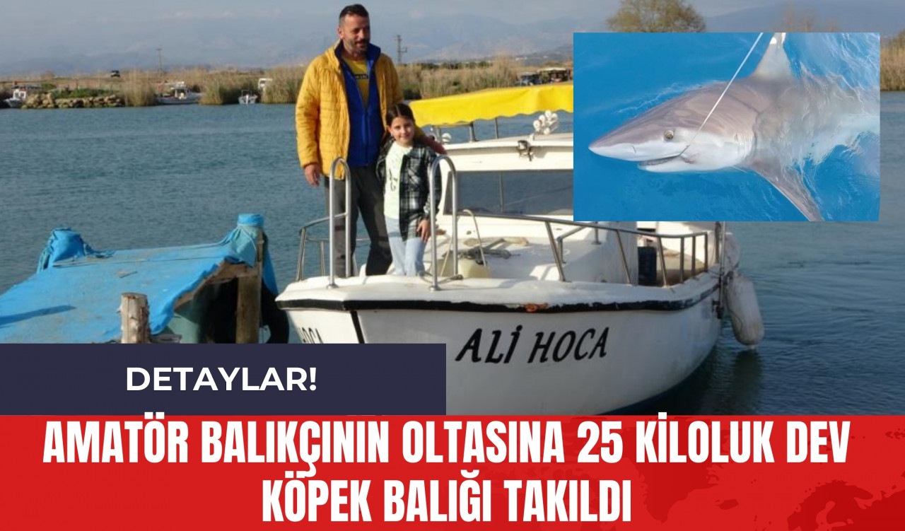 Amatör Balıkçının Oltasına 25 Kiloluk Dev Köpek Balığı Takıldı