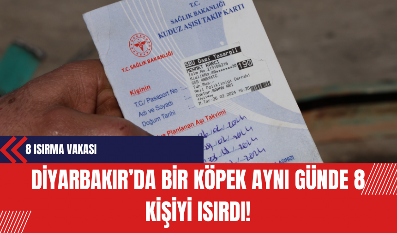 Diyarbakır’da Bir Köpek Aynı Günde 8 Kişiyi Isırdı!