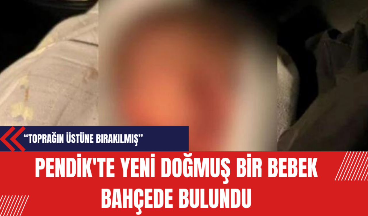 Pendik'te Yeni Doğmuş Bir Bebek Bahçede Bulundu