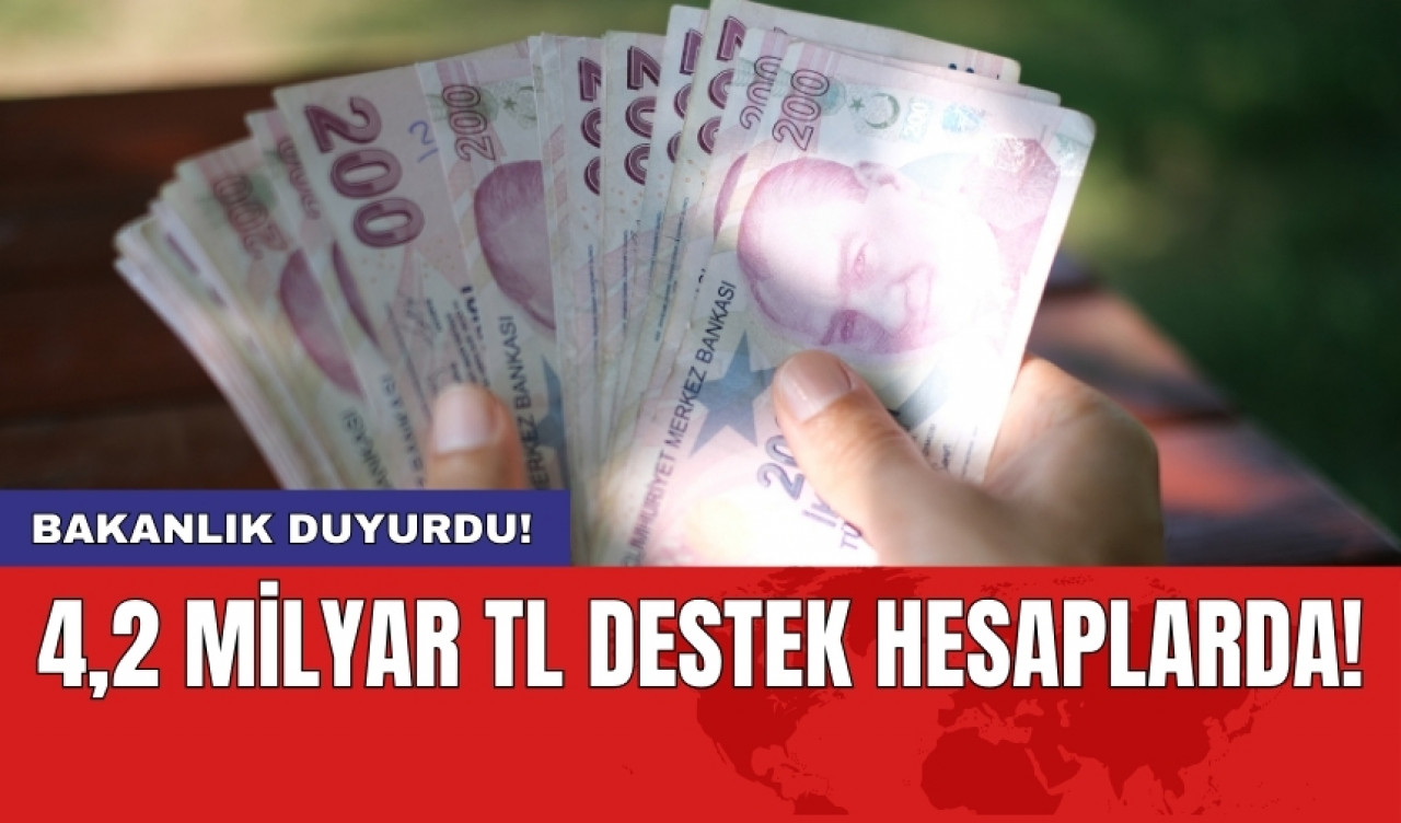 Bakanlık duyurdu! 4,2 milyar TL destek hesaplarda!