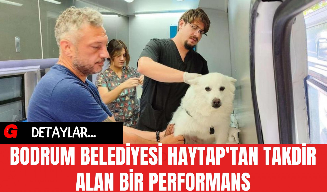 Bodrum Belediyesi HAYTAP'tan Takdir Alan Bir Performans