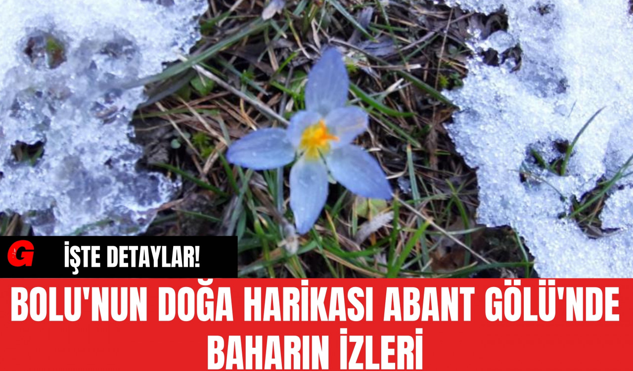 Bolu'nun Doğa Harikası Abant Gölü'nde Baharın İzleri