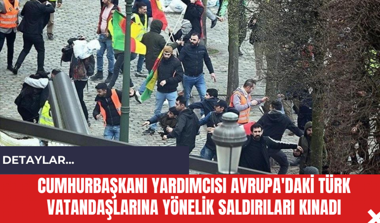 Cumhurbaşkanı Yardımcısı Avrupa'daki Türk Vatandaşlarına Yönelik Saldırıları Kınadı