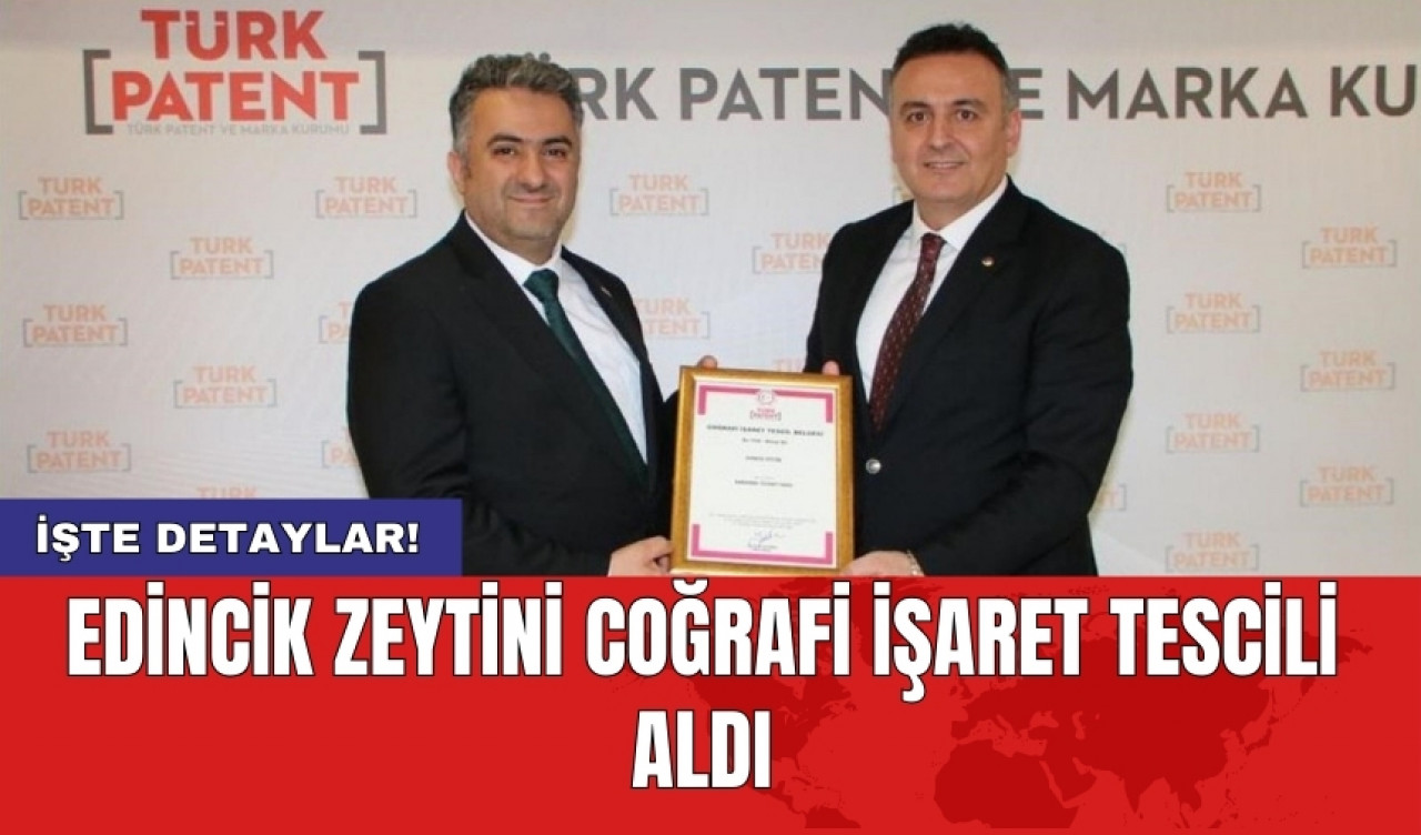 Edincik Zeytini coğrafi işaret tescili aldı